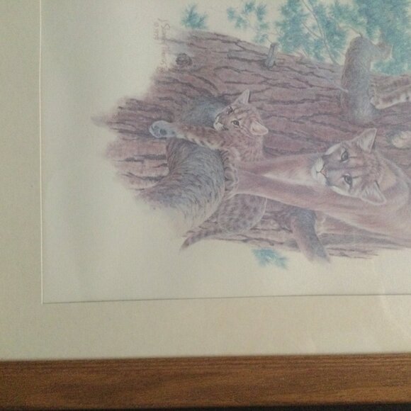 Vintage J Sharkey Thomas 1979 art print tiger and cubs in solid wooden frame - Picture 7 of 9